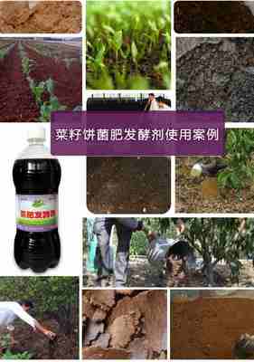 菜籽饼作为生物有机肥料的处理方法与研发前景