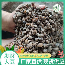 河北生物菌生物有机肥料研发 推进绿色农业发展新路径