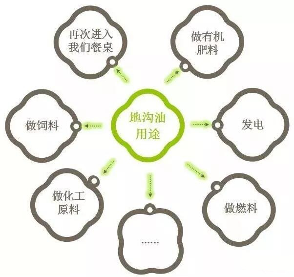 从“地沟油”到绿色未来 环保水性漆与生物有机肥料的创新之路
