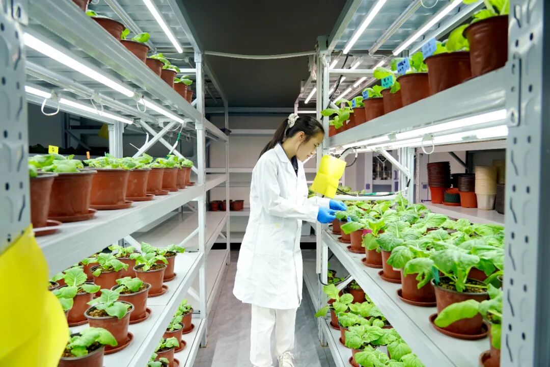 港北区 循环产业链赋能，打造有机无机‘糖蜜肥’生物有机肥新篇章